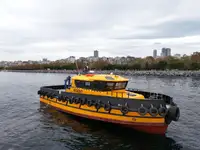 Barcos de trabajo en venta