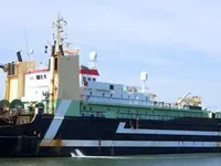Arrastrero en venta
