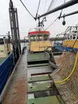 Arrastrero en venta