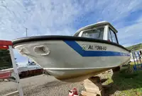 Barcos de trabajo en venta