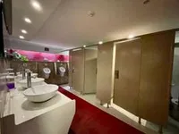 Buque de pasajeros en venta