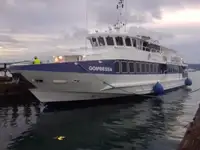 Buque de pasajeros en venta