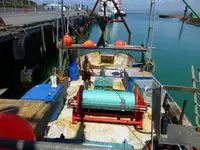 Trawler en venta