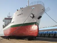 Buque granelero en venta