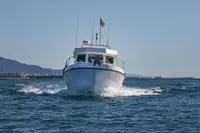 Barco de transbordador en venta