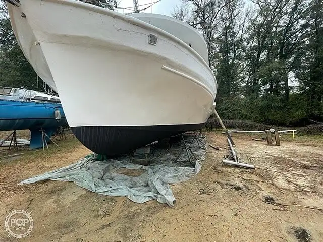 Arrastrero en venta
