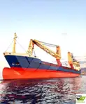 Buque granelero en venta