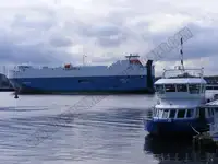 Buque granelero en venta