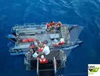 Buque de crucero en venta