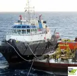 Remolcador en venta