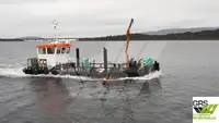 Barcos de trabajo en venta