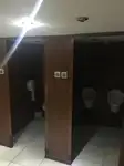 Buque de crucero en venta