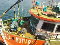 Embarcaciones de trabajo en venta