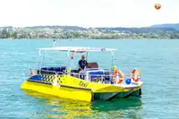 Buque de ferry en venta