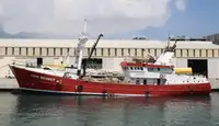 Buque granelero en venta