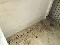 Arrastrero en venta