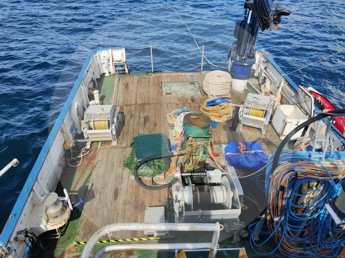 Soporte de buceo en venta