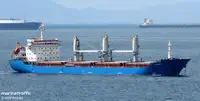 Granelero en venta