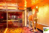 Buque de crucero en venta