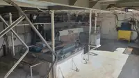 Palangrero en venta