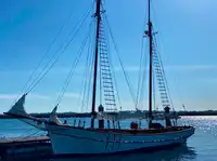 Barco de transbordador en venta