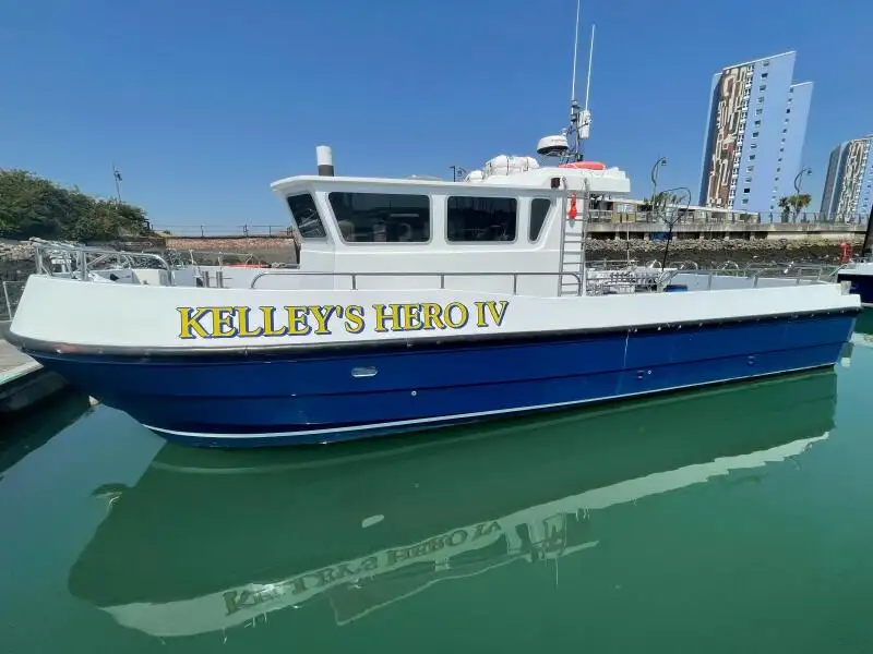 Catamarán en venta