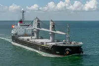 Granelero en venta