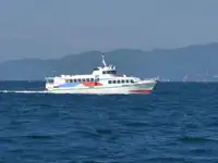 Barco de transbordador en venta