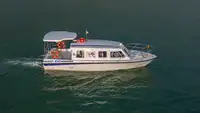 Buque de crucero en venta