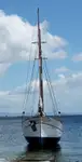 Buque de ferry en venta
