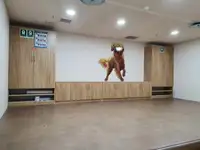 Buque frigorífico en venta