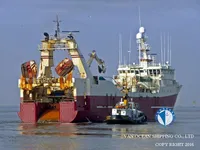 Arrastrero en venta