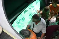 Buque de pasajeros en venta