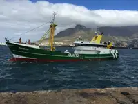 Buque de suministro rápido (FSV) en venta