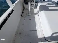 Transbordador de crucero en venta