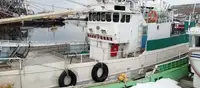 Arrastrero en venta