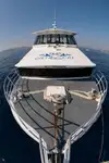 Buque de ferry en venta