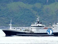 Arrastrero en venta