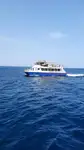 Catamarán en venta