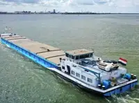 Buque granelero en venta