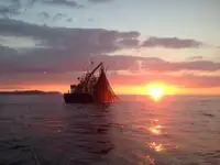 Arrastrero en venta