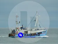 Buque transportador de peces vivos en venta