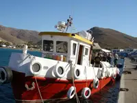Barcos de trabajo en venta
