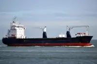 Granelero en venta