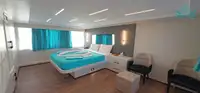 Buque de crucero en venta