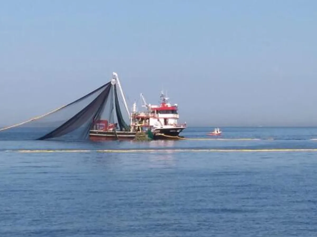 Buque de pesca en venta