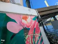 Transbordador de crucero en venta