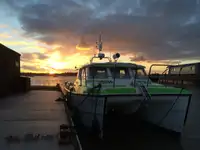 Catamarán en venta