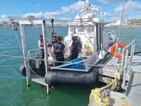 Barcos de trabajo en venta