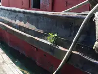 Remolcador en venta